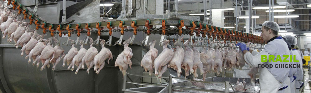 Bulk Packaging Solutions